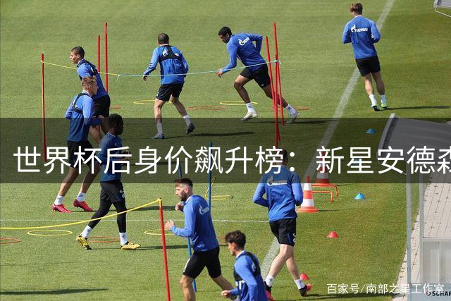 世界杯后身价飙升榜：新星安德森身价破亿 门将沃齐尼亚暴涨10倍