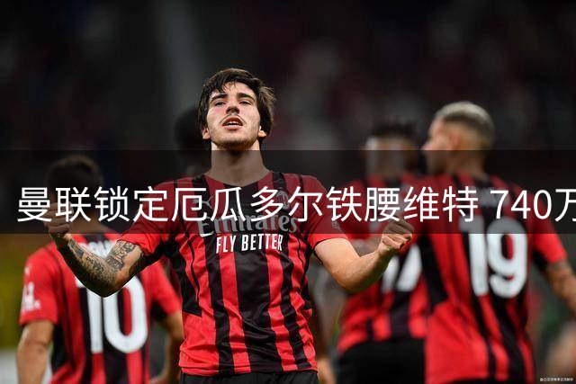曼联锁定厄瓜多尔铁腰维特 740万英镑抄底世界杯黑马中场